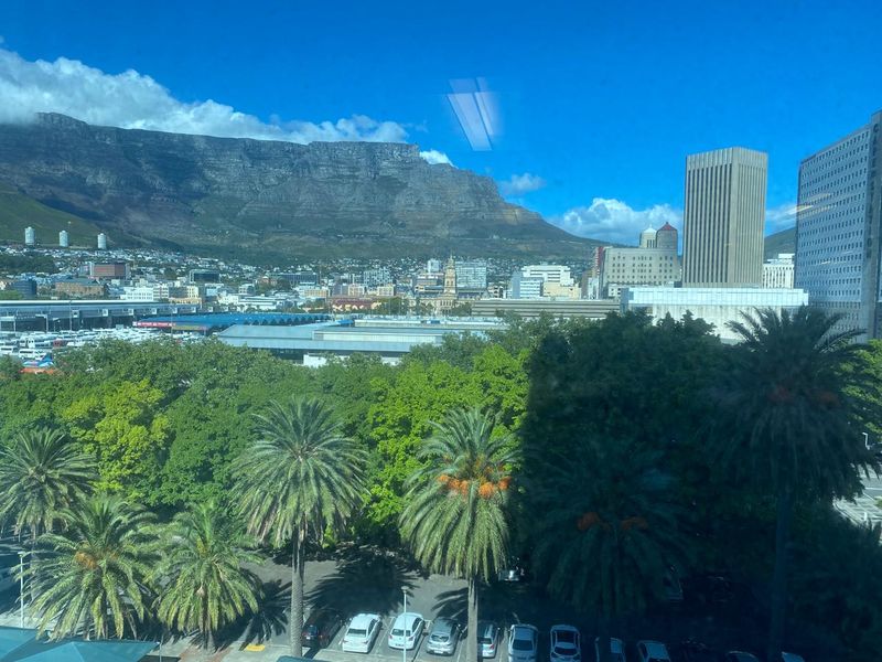Elevated urban view overlooking city buildings, lush green trees, and Table Mountain in the distance.