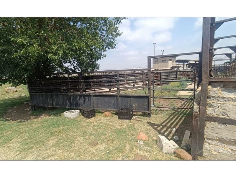 "Charming Eco-Friendly Commercial Gem in Sharpeville" - Photo 8