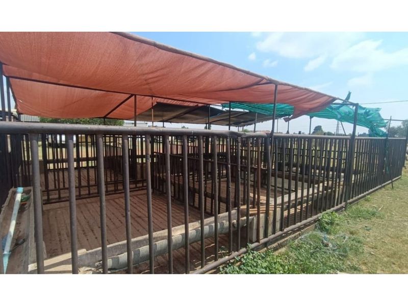 "Charming Eco-Friendly Commercial Gem in Sharpeville" - Photo 6