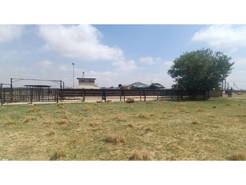 "Charming Eco-Friendly Commercial Gem in Sharpeville" - Photo 2