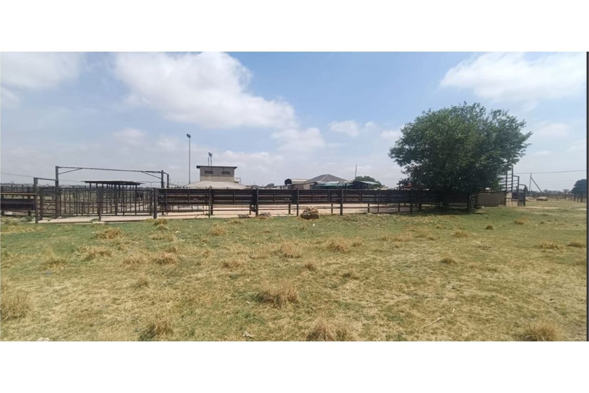 "Charming Eco-Friendly Commercial Gem in Sharpeville" - Photo 2