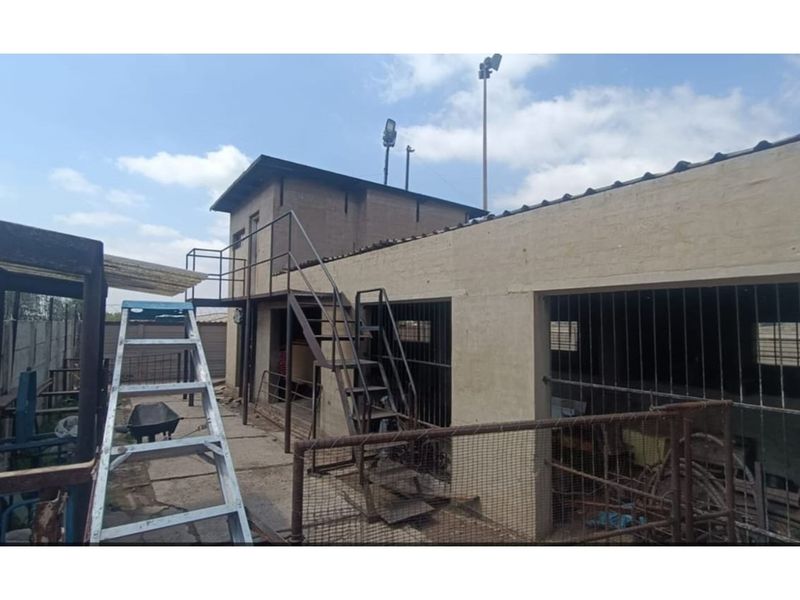 "Charming Eco-Friendly Commercial Gem in Sharpeville" - Photo 10