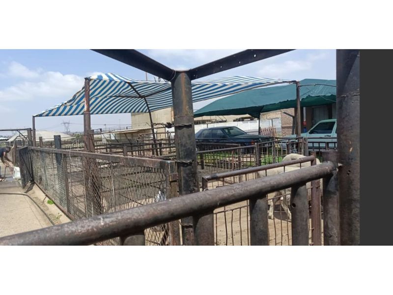 "Charming Eco-Friendly Commercial Gem in Sharpeville" - Photo 3