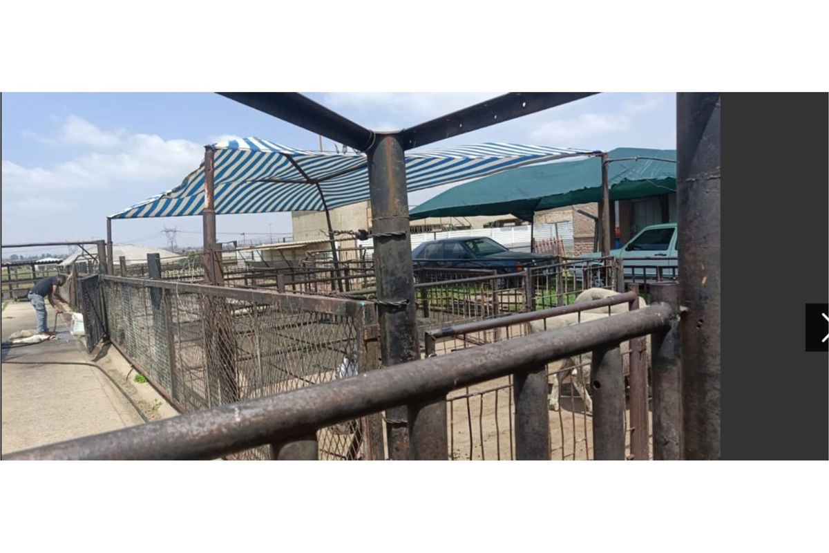 "Charming Eco-Friendly Commercial Gem in Sharpeville" - Photo 3