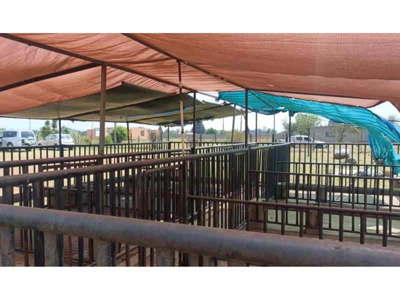 "Charming Eco-Friendly Commercial Gem in Sharpeville" - Photo 5