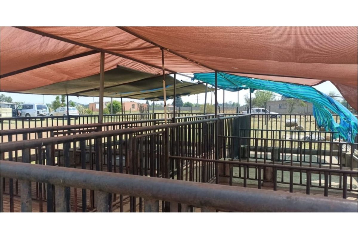 "Charming Eco-Friendly Commercial Gem in Sharpeville" - Photo 5