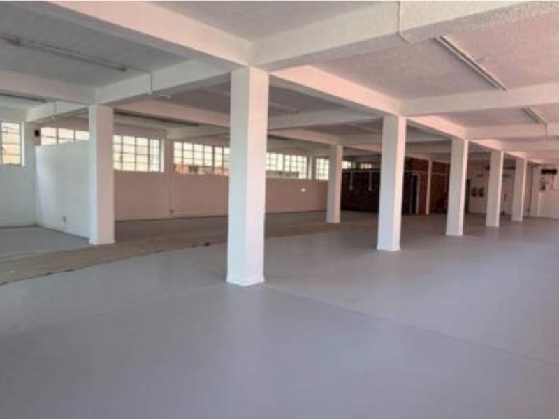 Spacious open-plan industrial warehouse area featuring polished concrete floors, structural concrete columns, and large steel-framed windows providing ample natural light.