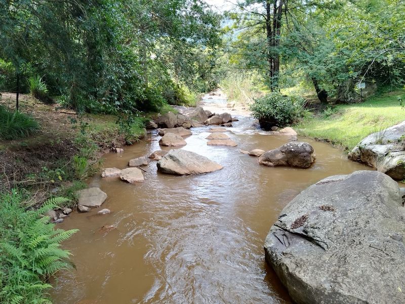 A scenic view of a natural stream flowing through the lodge grounds, featuring large boulders and lush surrounding vegetation.