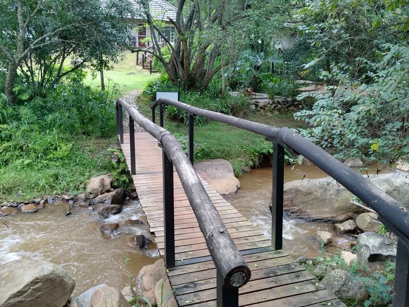 A wooden pedestrian bridge crossing a natural stream, set within a lush, landscaped garden environment on the lodge property.