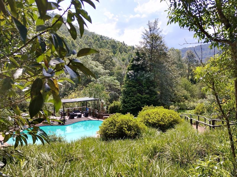 A scenic view of a swimming pool area nestled within a lush, forested landscape, featuring a wooden deck and natural garden surroundings.