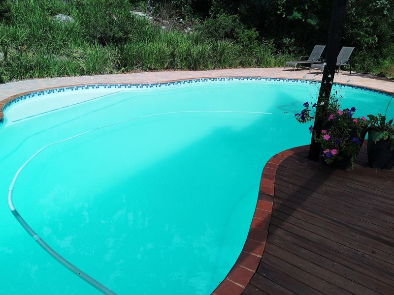 A kidney-shaped swimming pool featuring a wooden deck surround and brick coping, set against a natural garden backdrop.