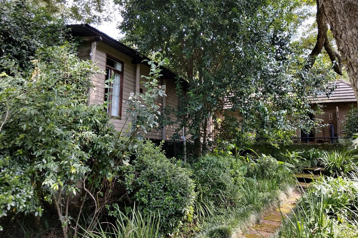 A view of the lodge exterior featuring timber-clad walls, surrounded by lush, mature garden landscaping and a stone pathway.