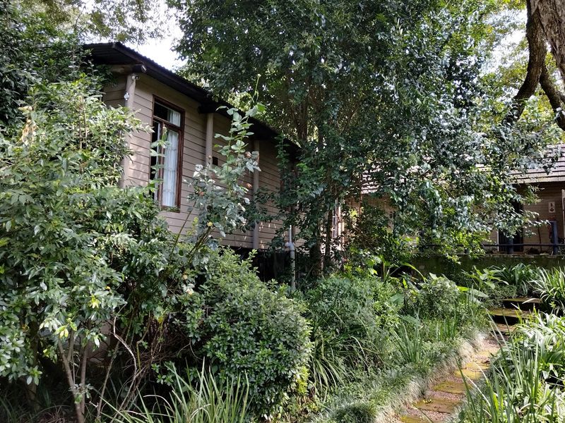 A view of the lodge exterior featuring timber-clad walls, surrounded by lush, mature garden landscaping and a stone pathway.