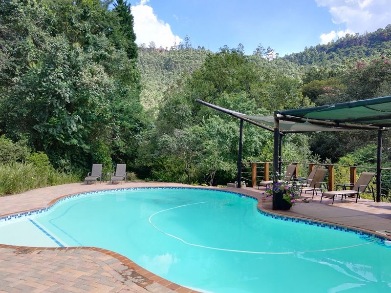 A serene outdoor pool area featuring a curved swimming pool, paved surround, and a wooden deck with a shade structure overlooking lush greenery.