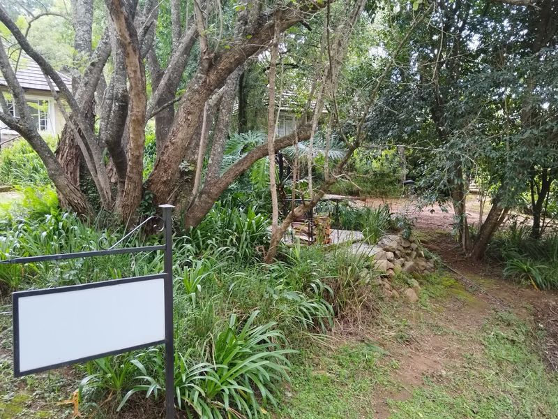 A lush, wooded garden area featuring mature trees, established shrubbery, and a stone-retained pathway leading toward the lodge structure.