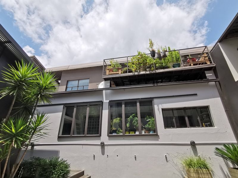 Superb Designer Commercial Space in Creative Precinct - Photo 9