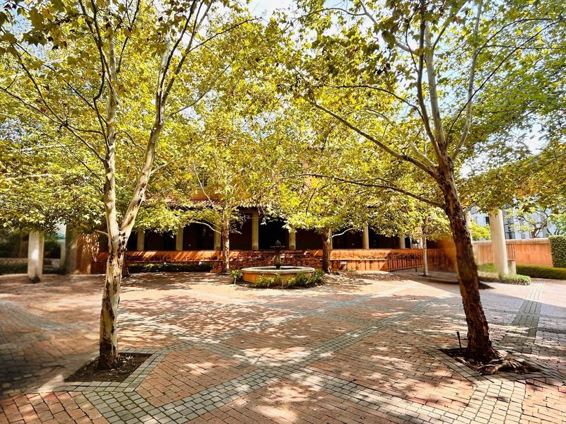 Premium Commercial Investment in Brooklyn, Pretoria - Photo 7