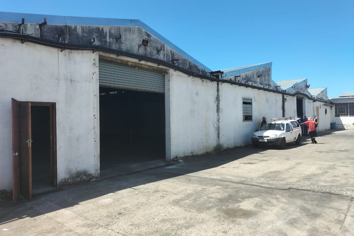 Warehouse to let in North Durban. - Photo 3