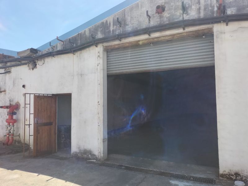 Warehouse to let in North Durban. - Photo 6