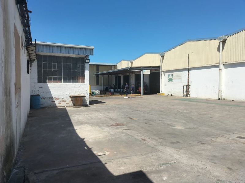Warehouse to let in North Durban. - Photo 8