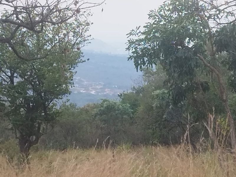 A scenic view overlooking the surrounding landscape and distant valley, framed by natural vegetation and trees.