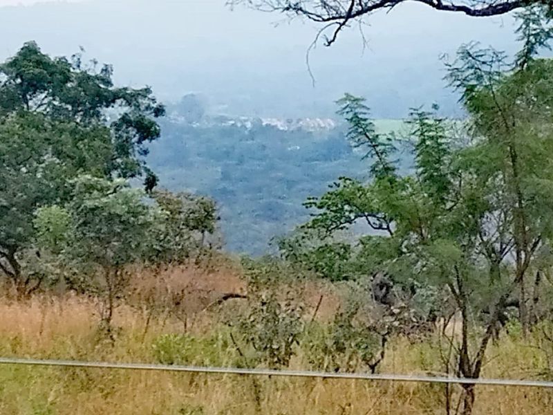 A scenic landscape view overlooking a valley with natural vegetation and distant residential development.