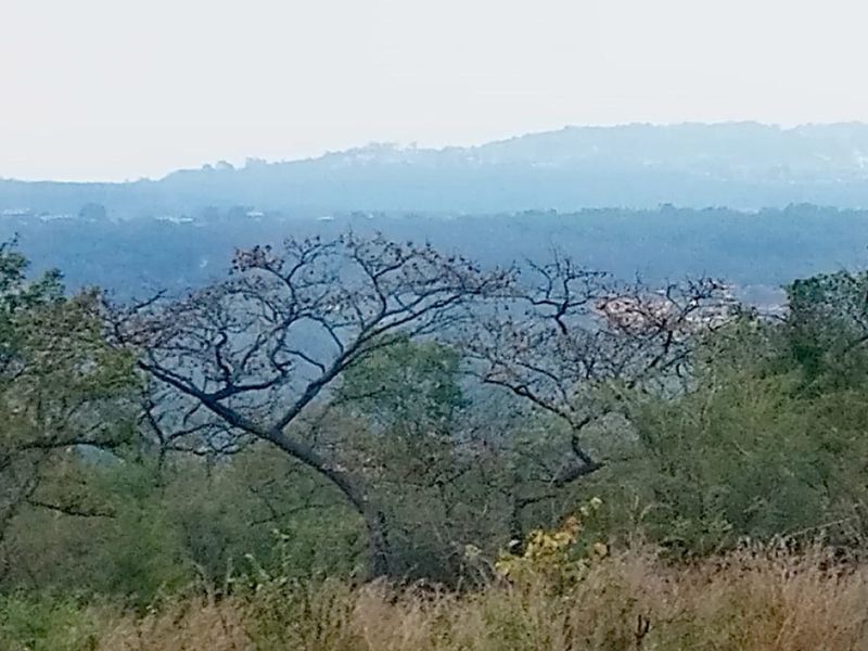 A scenic landscape view overlooking rolling hills and natural vegetation, showcasing the property's elevated position and surrounding environment.