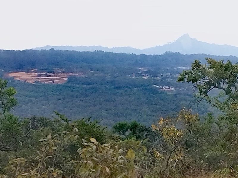 A scenic landscape view overlooking a forested valley with distant mountains and rolling hills.