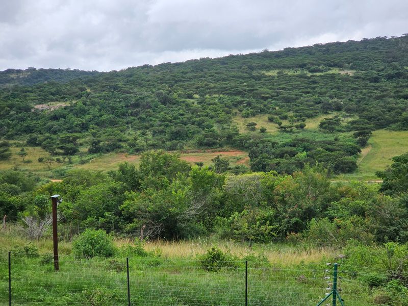 A scenic view of the surrounding natural landscape and hillside, featuring an electric perimeter fence and security lighting.
