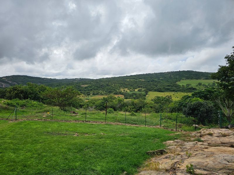 A scenic view of the surrounding natural landscape, featuring rolling green hills, native vegetation, and a wire mesh boundary fence.