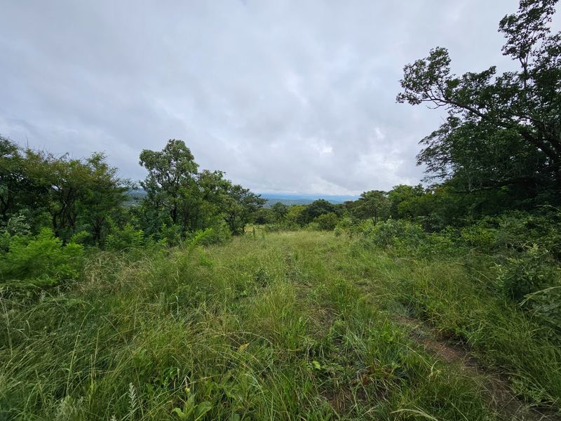 A scenic view of the natural landscape featuring lush greenery and trees under a cloudy sky.