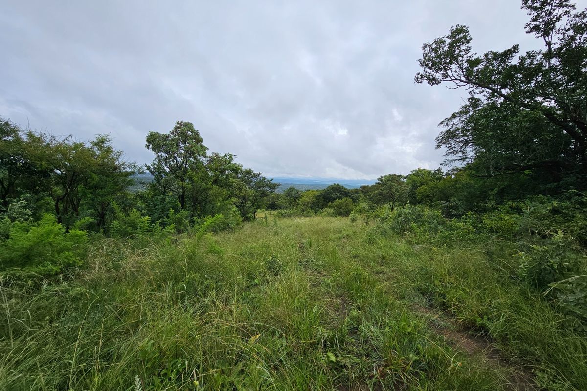 A scenic view of the natural landscape featuring lush greenery and trees under a cloudy sky.
