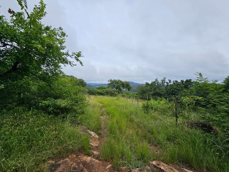 A scenic view of the natural landscape featuring lush greenery, tall grass, and distant hills, bordered by a wire fence.