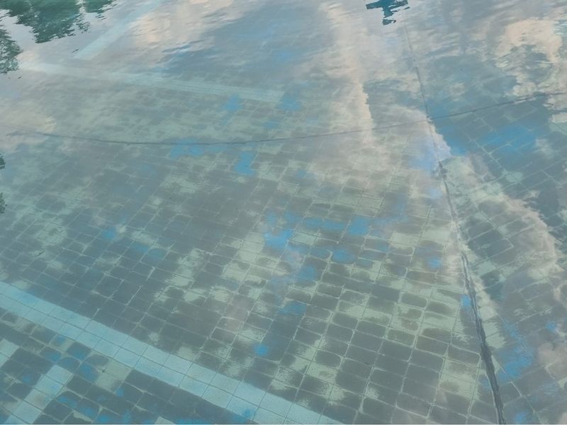 Charming Lodge for Sale in Tranquil Vischkuil - Photo 5