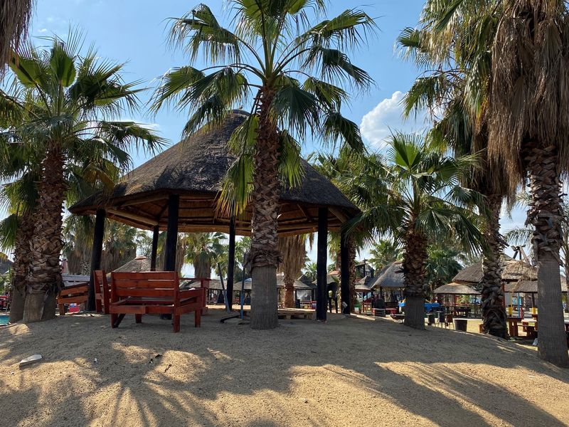 Outdoor entertainment area featuring a thatched gazebo structure surrounded by palm trees and sandy landscaping.