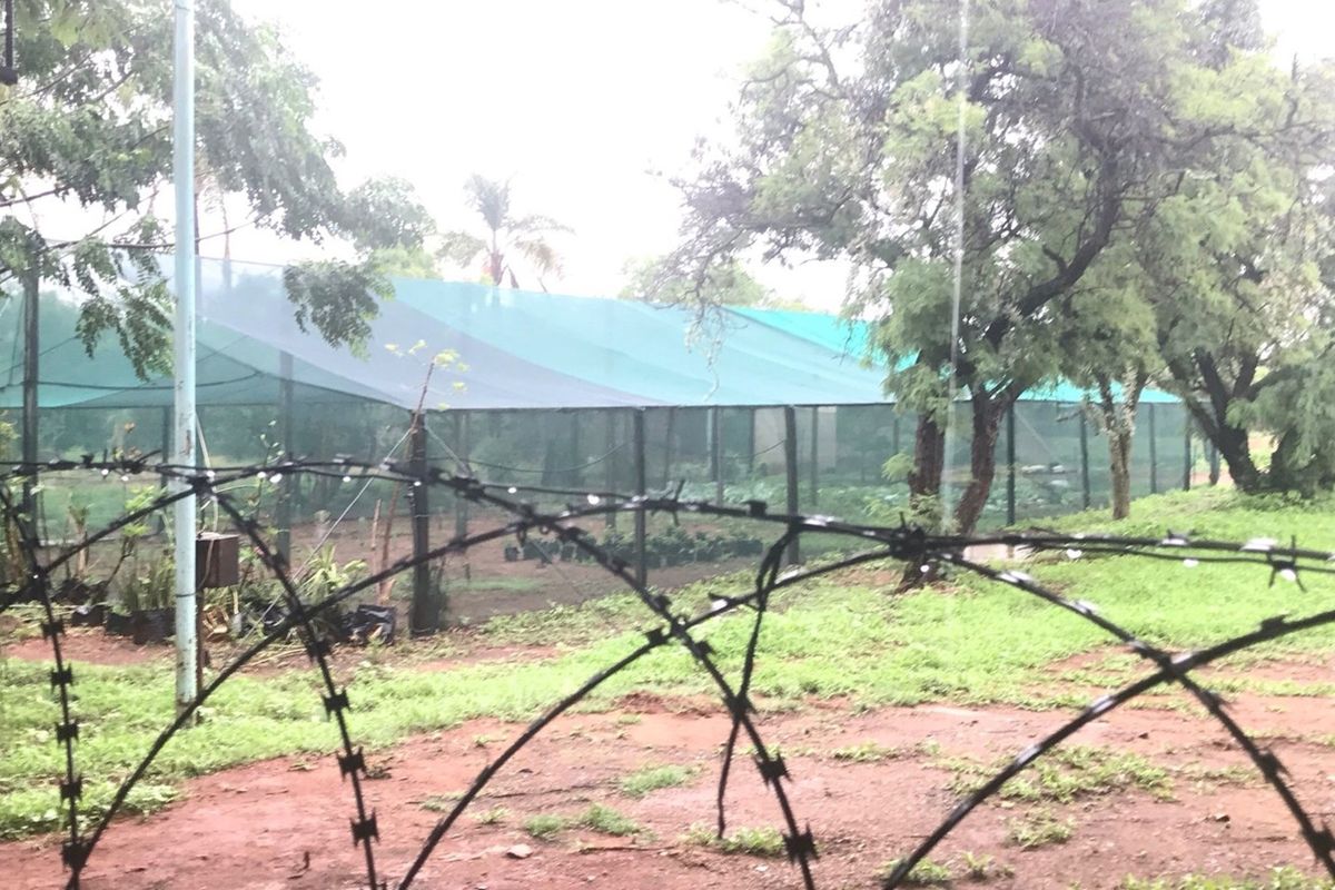 Outdoor nursery area featuring a large shade cloth structure, enclosed by perimeter fencing with barbed wire.