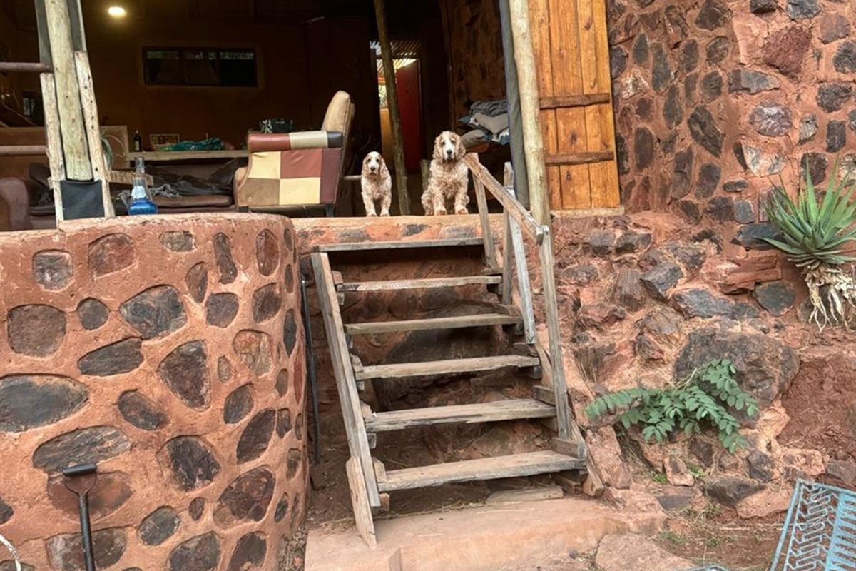 Rustic exterior entrance featuring natural stone masonry walls and weathered wooden stairs leading to an open-plan living area.