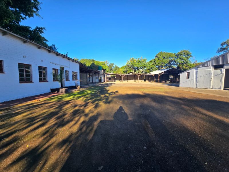 Invest, Develop or Rent Out - Industrial Land with 3 Homes - Photo 2