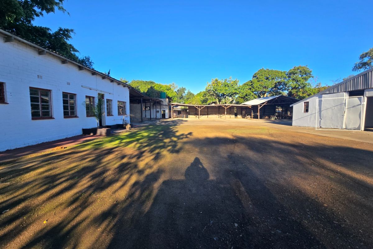 Spacious commercial courtyard area featuring multiple outbuildings with white painted brick facades and covered structural overhangs.