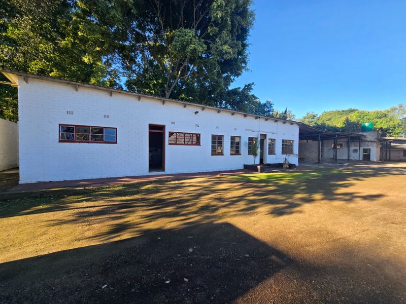 Invest, Develop or Rent Out - Industrial Land with 3 Homes - Photo 4