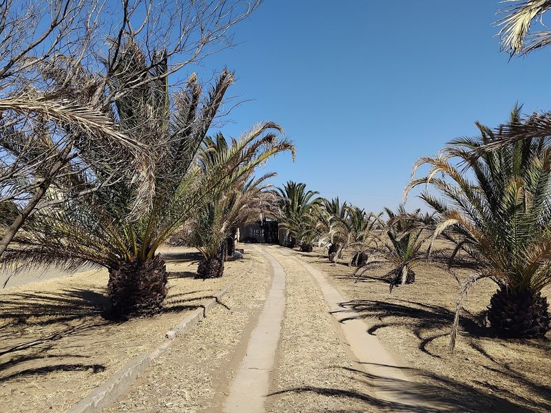 Let’s make your Vaal Dam real estate dreams a reality! - Photo 5