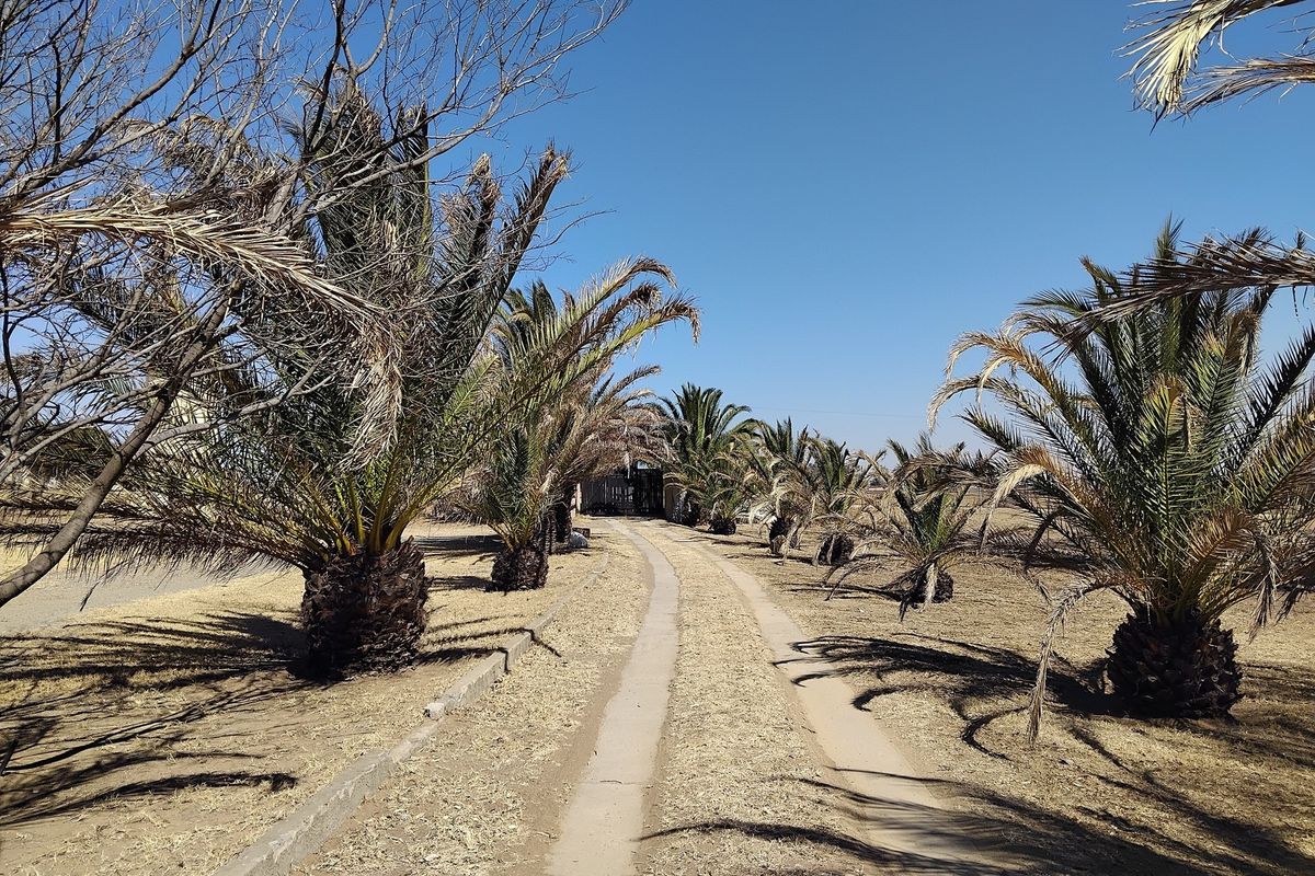 Let’s make your Vaal Dam real estate dreams a reality! - Photo 5