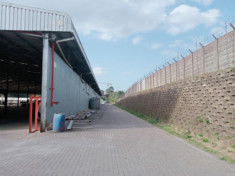 Highly sought after facility newly available - Photo 10