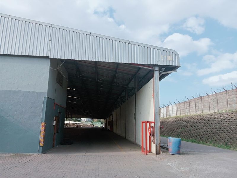 Highly sought after facility newly available - Photo 9