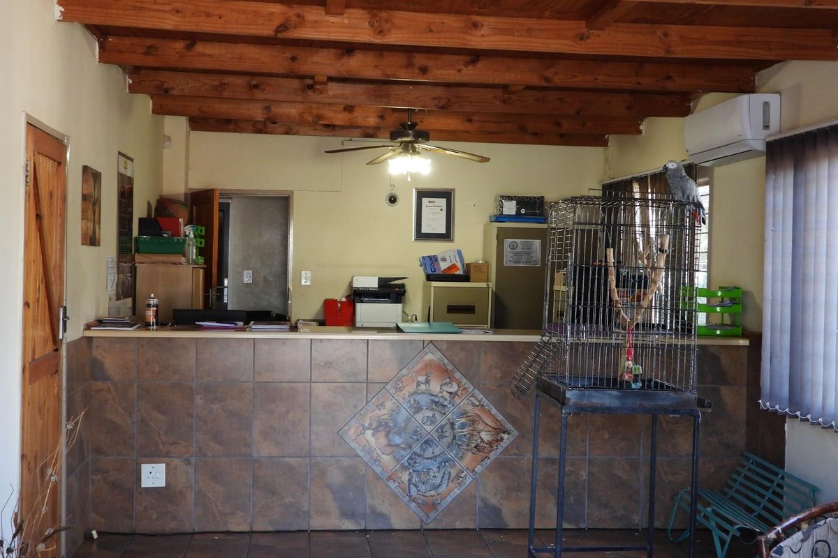 Versatile commercial property for sale in Bela Bela - Photo 3