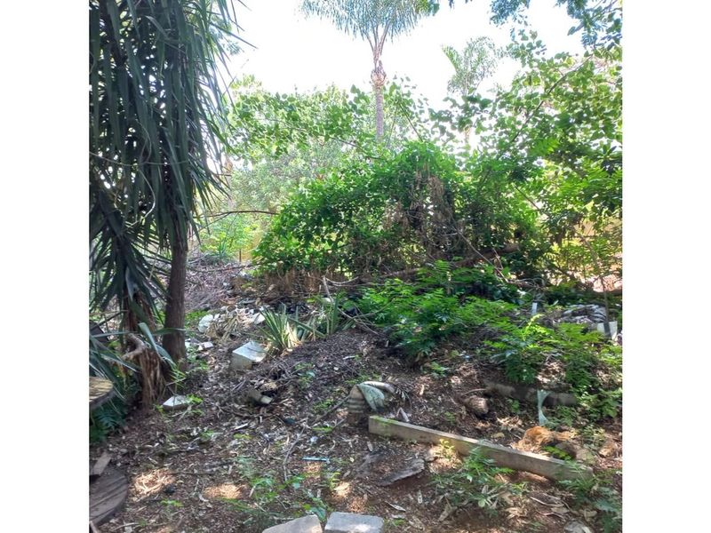 Ideal Residential- and Business Spot in the heart of Silverton - Photo 5