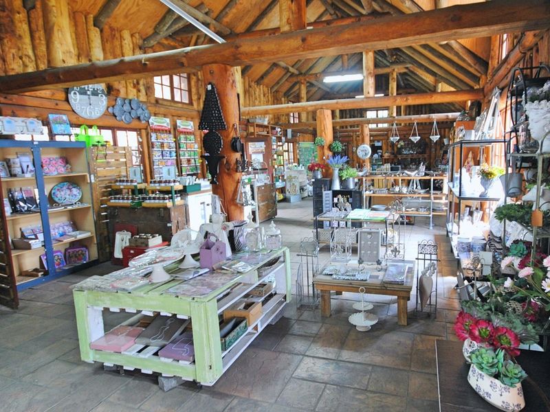 Spacious commercial retail interior featuring rustic log timber walls, exposed wooden ceiling beams, and durable stone tile flooring.
