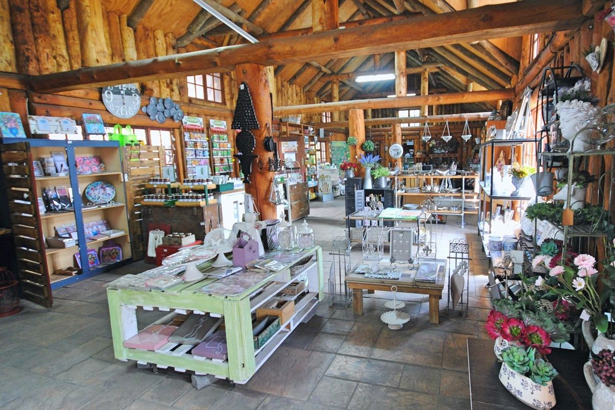Spacious commercial retail interior featuring rustic log timber walls, exposed wooden ceiling beams, and durable stone tile flooring.