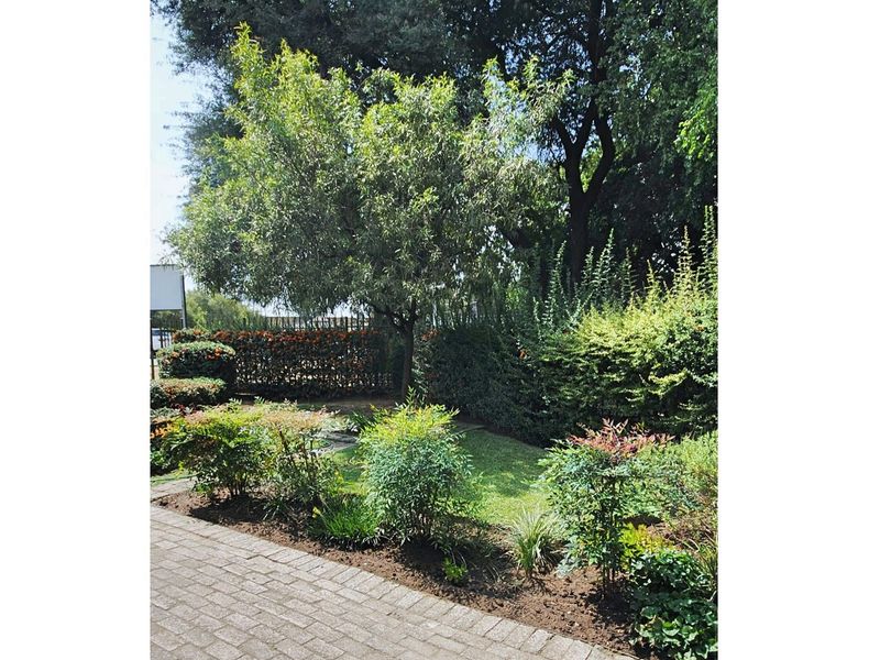 A well-maintained garden area featuring established trees, manicured shrubs, and a paved walkway.