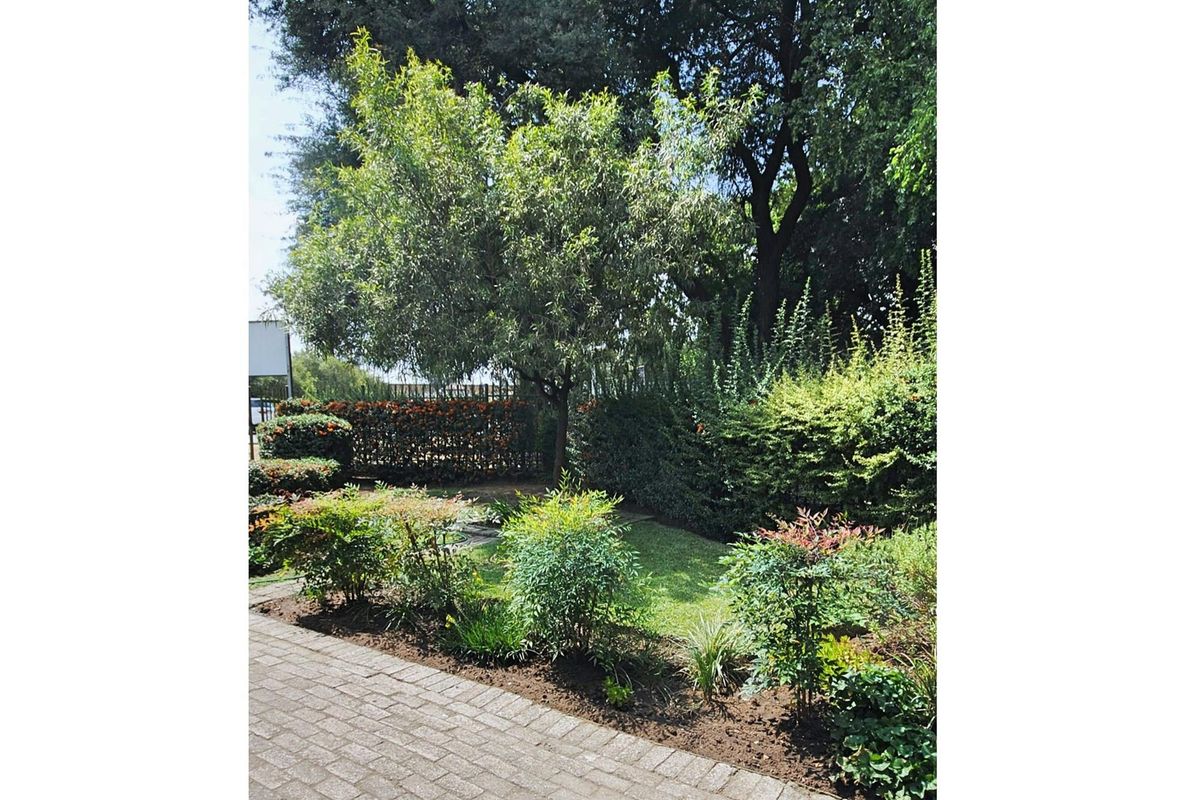 A well-maintained garden area featuring established trees, manicured shrubs, and a paved walkway.